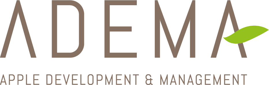 ADEMA - Design del logo - Finale