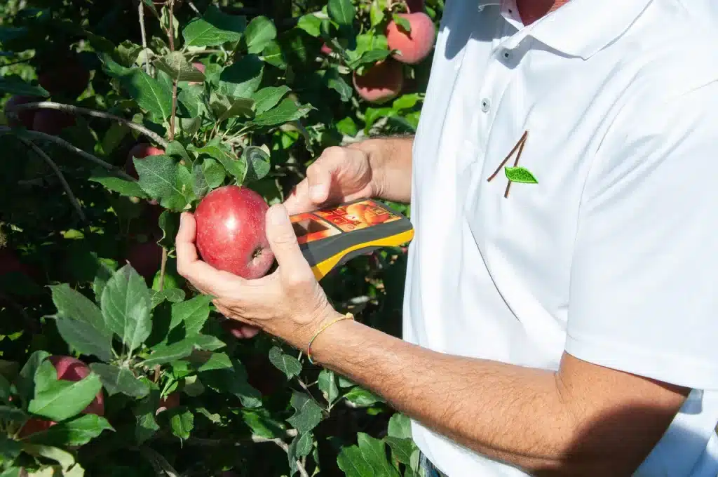 About Us - Jürgen inspiziert einen Apfel
